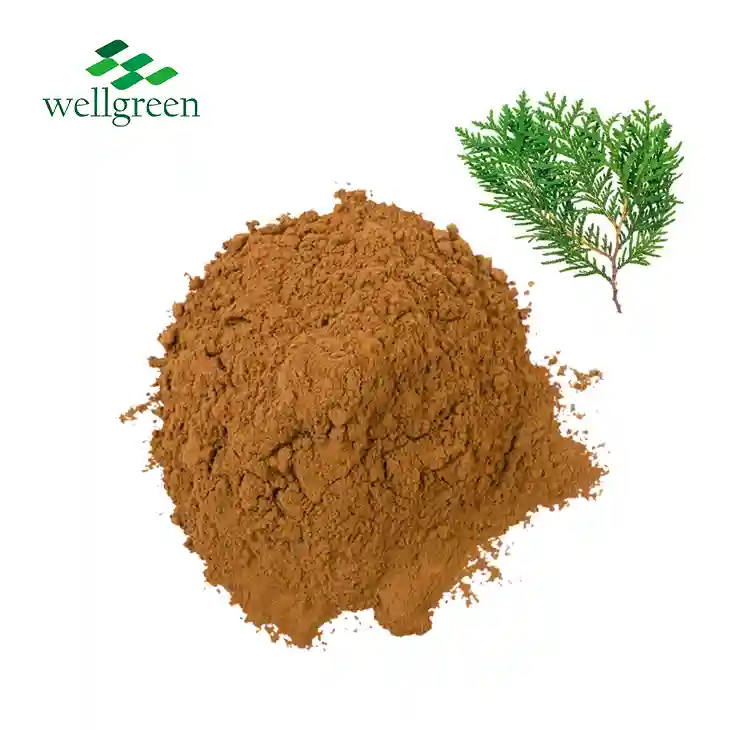 Platycladus Orientalis Extract